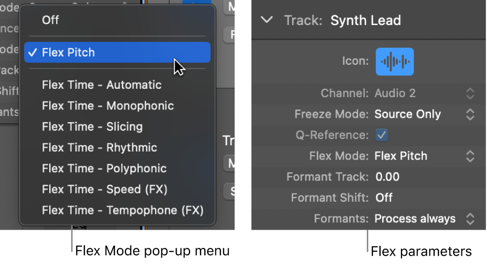 Figure. Track inspector showing flex algorithms and parameters.