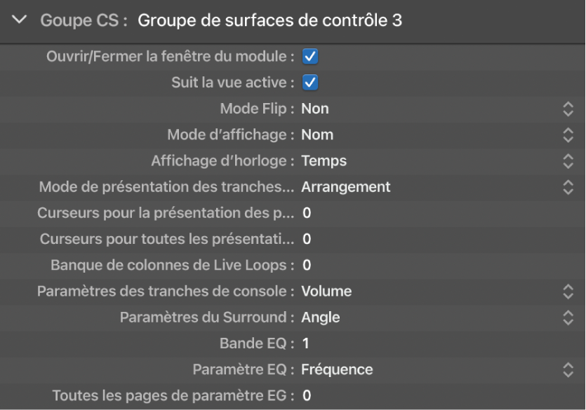 Figure. Paramètres d’affichage de groupe de surfaces de contrôle.