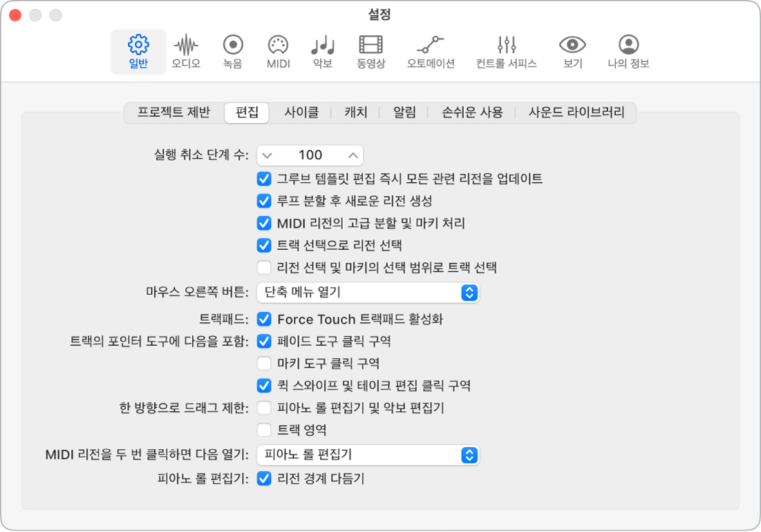 그림. 일반 설정의 편집 패널의 ‘실행 취소 단계 수’필드.