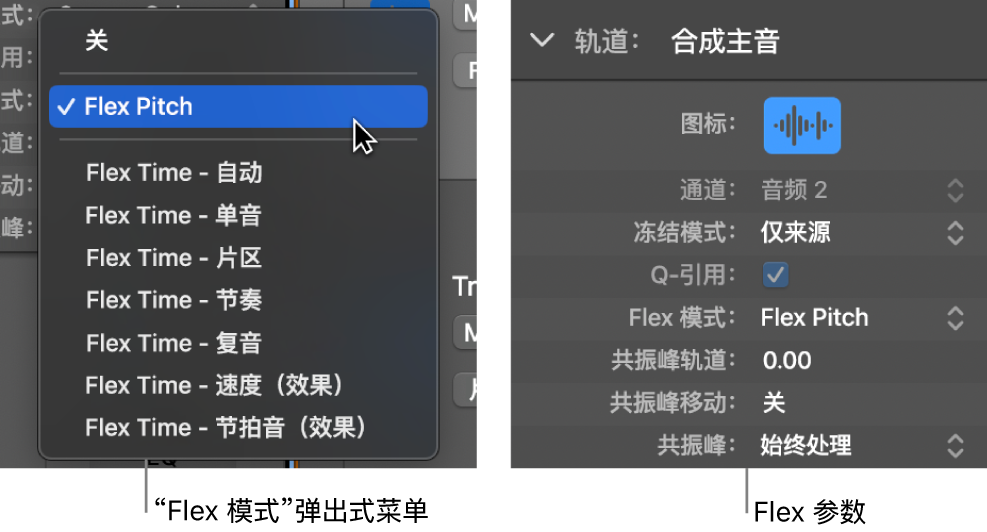 图。显示 Flex 算法和参数的轨道检查器。