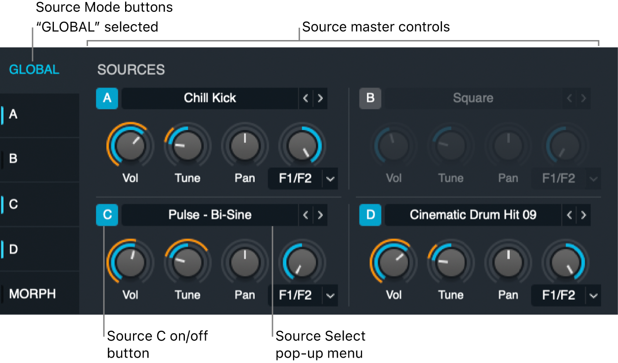 Figure. Source master controls.