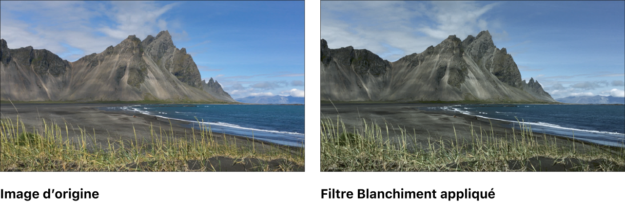 Canevas affichant l’effet du filtre Blanchiment