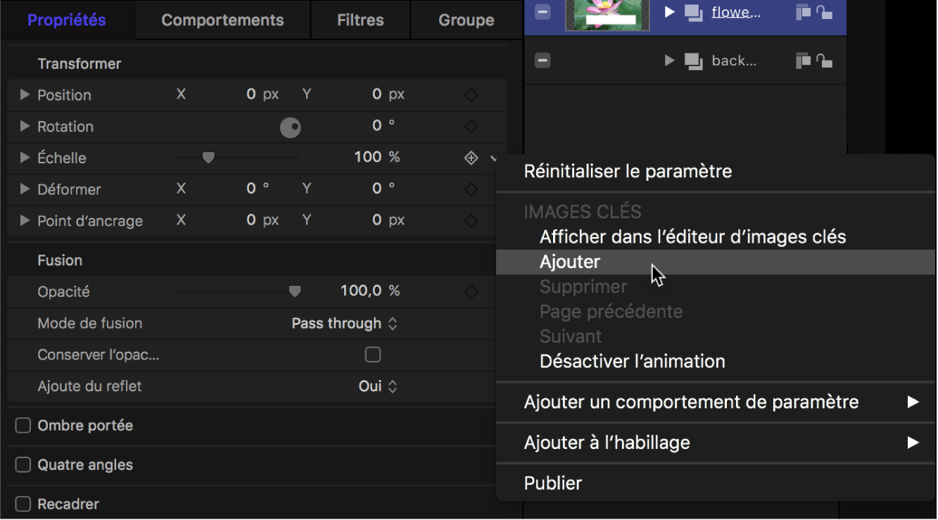 Menu contextuel « Ajouter une image clé » dans l’inspecteur