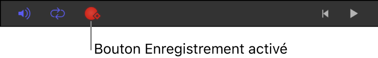 Bouton Enregistrer dans la barre d’outils de synchronisation