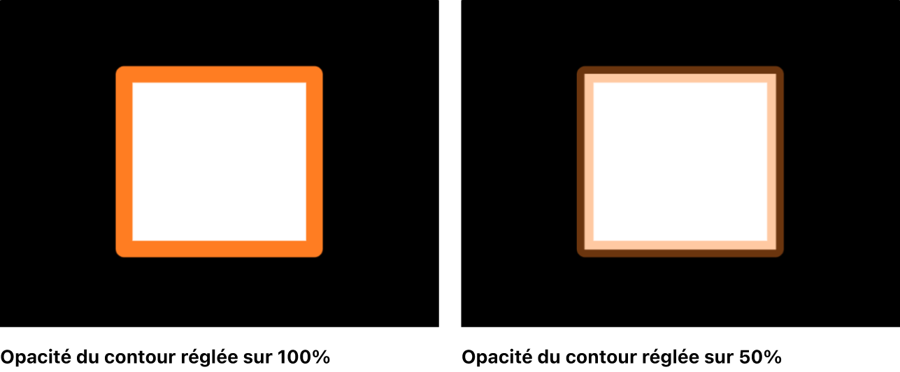 Canevas affichant un objet dont le remplissage et le contour présentent des opacités différentes