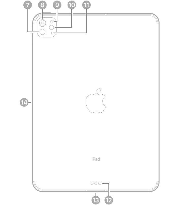عرض للجزء الخلفي من iPad Pro مع وسائل شرح لماسح لايدار، والكاميرا الخلفية ومستشعر الإضاءة المحيطة الخلفي والفلاش والميكروفون في الجزء العلوي الأيسر، والموصل الذكي و USB-C في أسفل الوسط، والموصل المغناطيسي لقلم Apple على اليسار.
