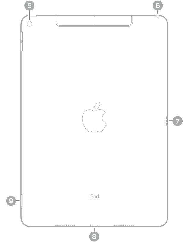 عرض للجزء الخلفي من iPad Air مع وسائل شرح للكاميرا الخلفية في أعلى اليسار، ومقبس سماعة الرأس في أعلى اليمين، والموصل الذكي على اليمين، وموصل لايتننغ في أسفل الوسط، وحامل الشريحة (في طرز Wi-Fi + خلوي) في أسفل اليسار.