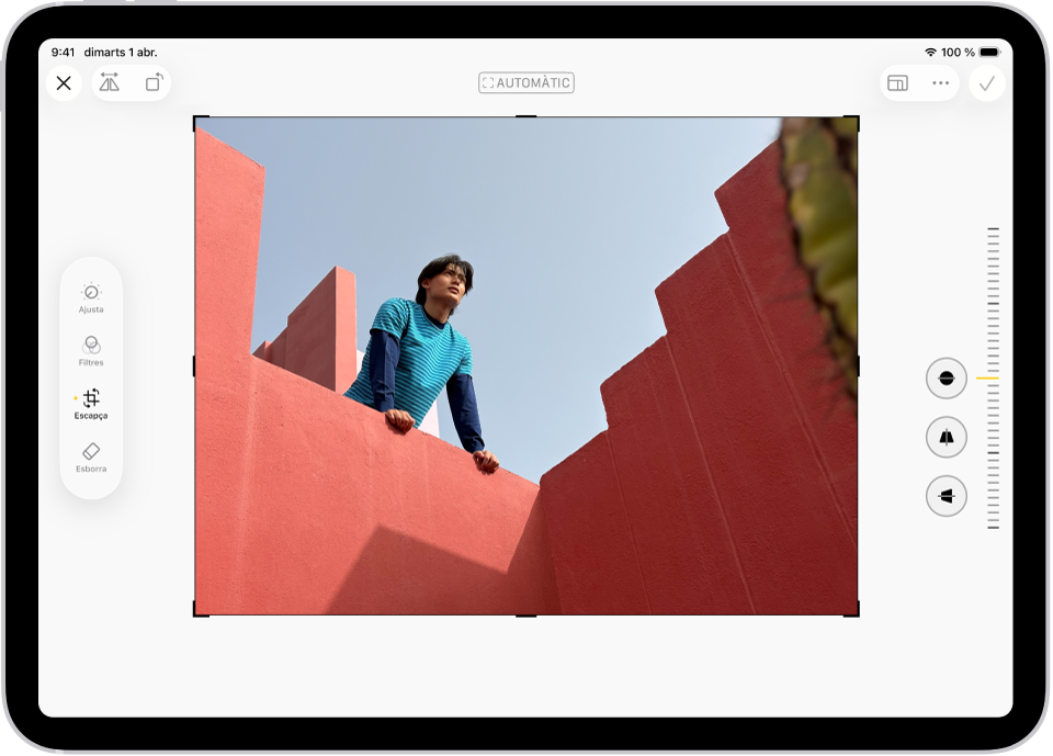 La pantalla d’edició de l’app Fotos amb una foto al centre. Al costat esquerre de la pantalla hi ha els botons “Ajusta”, “Filtres” i “Escapça”; se selecciona el botó “Escapça”. Al costat dret de la pantalla hi ha les opcions per millorar l’escapçament i un regulador per ajustar el nivell dels efectes dels filtres.