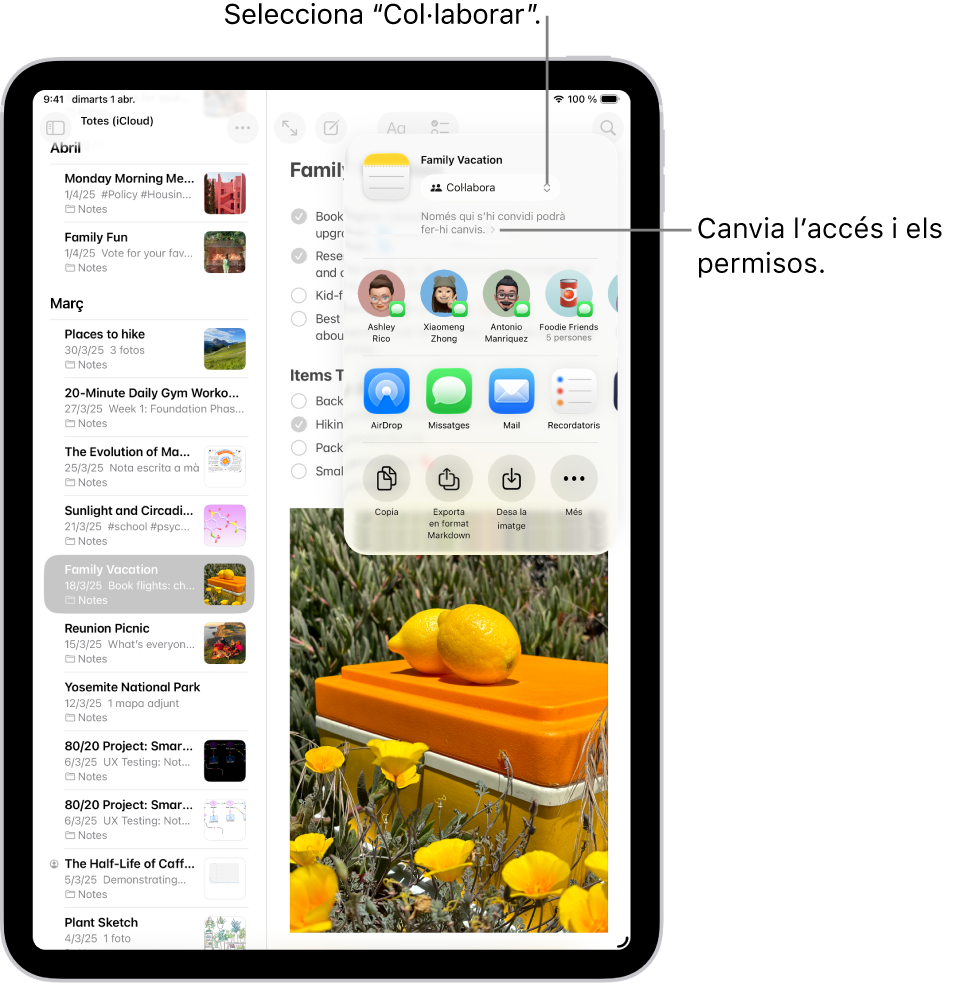 Una invitació de col·laboració a una llista de comprovació de l’app Notes, que mostra l’opció “Col·labora” com a opció per compartir i “Només qui convidis podrà editar-ho” com a configuració d’accés i de permisos. A sota, quatre destinataris possibles formen una fila, inclòs un grup. A la fila següent s’ofereixen maneres diferents de compartir la nota: l’AirDrop i les apps Missatges, Mail i Recordatoris. L’última fila conté els botons per copiar, exportar i desar la nota.