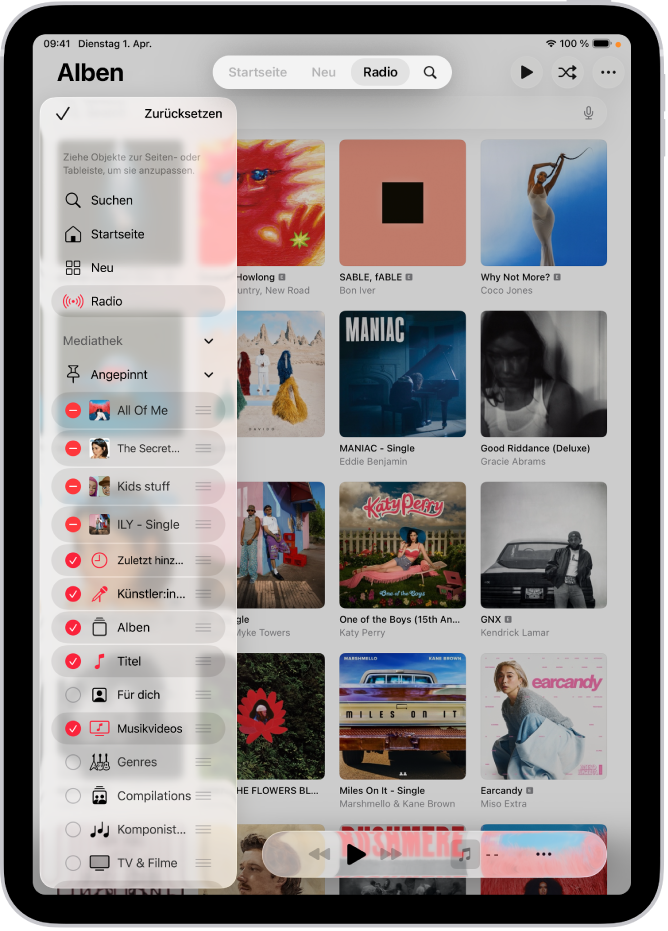 Ein iPad im Hochformat mit Optionen zum Bearbeiten der Seitenleiste links und der Tableiste oben auf dem Bildschirm.