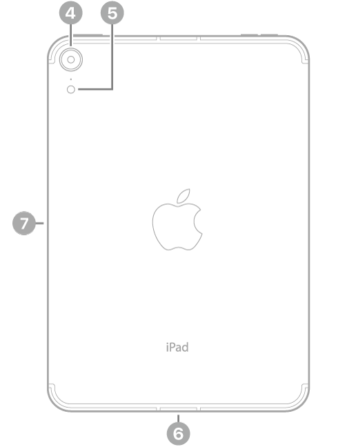 Η πίσω πλευρά του iPad mini με επεξηγήσεις για την πίσω κάμερα και το φλας πάνω αριστερά, την υποδοχή USB-C κάτω στο κέντρο, και τη μαγνητική υποδοχή για το Apple Pencil στα αριστερά.