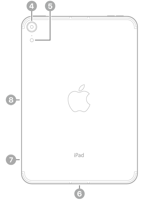 La vue de dos de l’iPad mini, avec des légendes liées à l’appareil photo arrière et au flash en haut à gauche, au connecteur USB-C en bas au centre, au support pour carte SIM (Wi-Fi + Cellular) en bas à gauche, ainsi qu’au connecteur magnétique pour l’Apple Pencil à gauche.