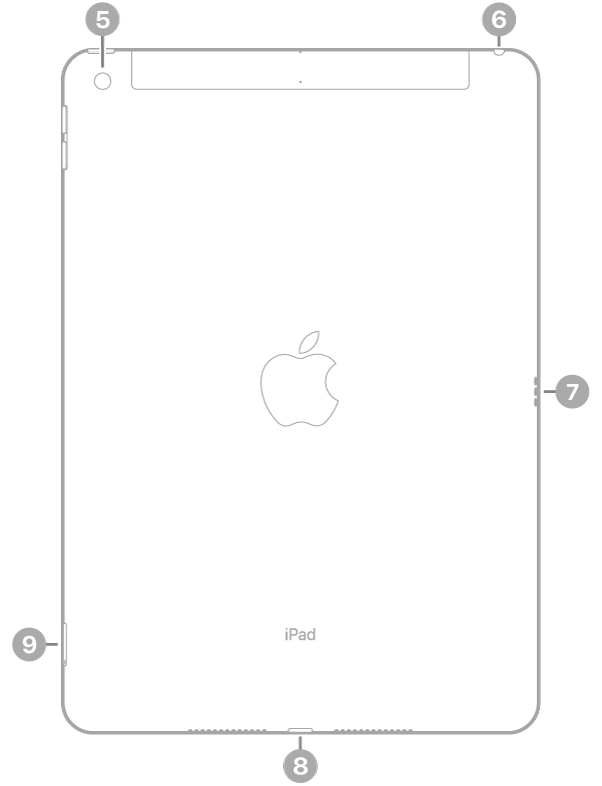 La vue de dos de l’iPad, avec des légendes liées à l’appareil photo arrière en haut à gauche, à la prise casque en haut à droite, au Smart Connector à droite, au connecteur Lightning en bas au centre, ainsi qu’au support pour carte SIM (Wi-Fi + Cellular) en bas à gauche.