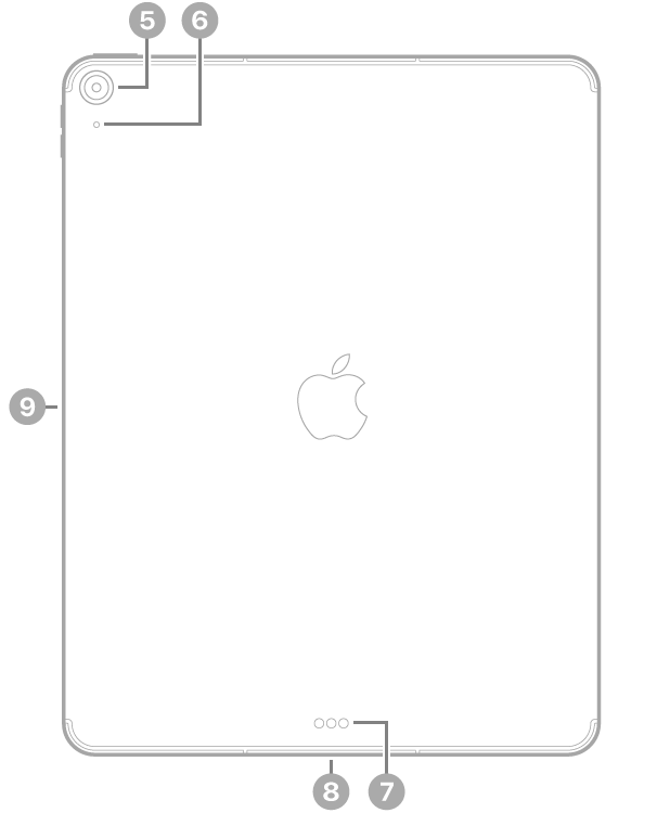 Vista posteriore di iPad Air con didascalie che indicano la fotocamera posteriore e il microfono in alto a sinistra, lo Smart Connector e il connettore USB-C in basso al centro e il connettore per Apple Pencil a sinistra.