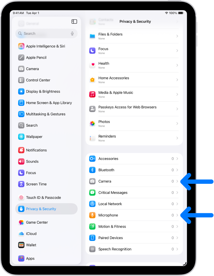 „Privatumas ir sauga“ ekranas, pateikiami nustatymai, kuriais galima valdyti, ar programos gali naudoti kamerą, mikrofoną ir kitas „iPad“ dalis.