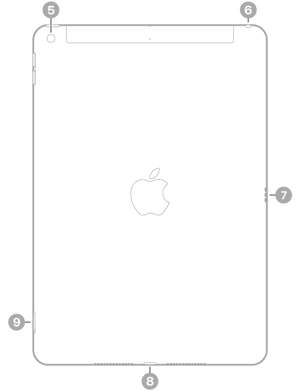 Achterkant van de iPad met bijschriften voor de camera aan de achterkant linksbovenin, de koptelefoonaansluiting rechtsbovenin, de Smart Connector aan de rechterkant, de Lightning-connector in het midden onderin en de simkaarthouder (Wi-Fi + Cellular) linksonderin.