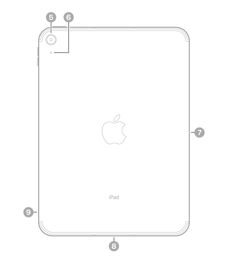 Achterkant van de iPad met bijschriften voor de camera aan de achterkant en de microfoon linksbovenin, de Smart Connector aan de rechterkant, de USB‑C-connector in het midden onderin en de simkaarthouder (Wi‑Fi + Cellular-modellen) linksonderin.