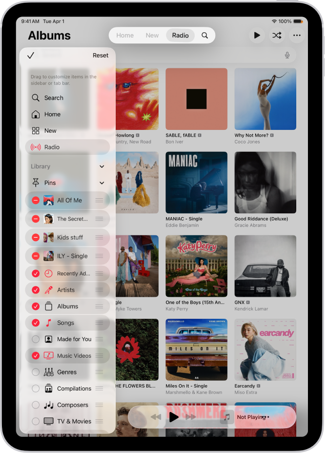 iPad ପୋର୍ଟ୍ରେଟ୍ ଓରିଏଣ୍ଟେଶନ୍ରେ ବାମ ପାର୍ଶ୍ୱରେ ଥିବା ସାଇଡ୍ବାର୍ ଏବଂ ସ୍କ୍ରୀନ୍ରେ ଥିବା ଟାବ୍ ବାର୍କୁ ଏଡିଟ୍ କରିବା ପାଇଁ ବିକଳ୍ପ ଦେଖାଉଛି।