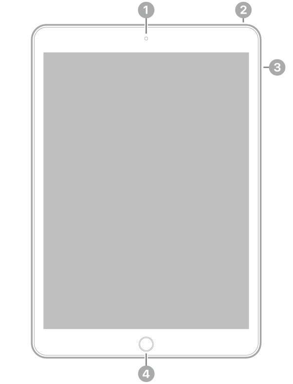 Vista frontal do iPad com chamadas para a câmara fontal na parte superior, ao centro, o botão superior no canto superior direito, os botões de volume à direita e o botão principal/Touch ID na parte inferior, ao centro.