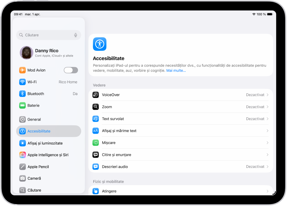 Ecran Configurări afișând opțiuni de accesibilitate cum ar fi VoiceOver, Descrieri audio și Control comutator.