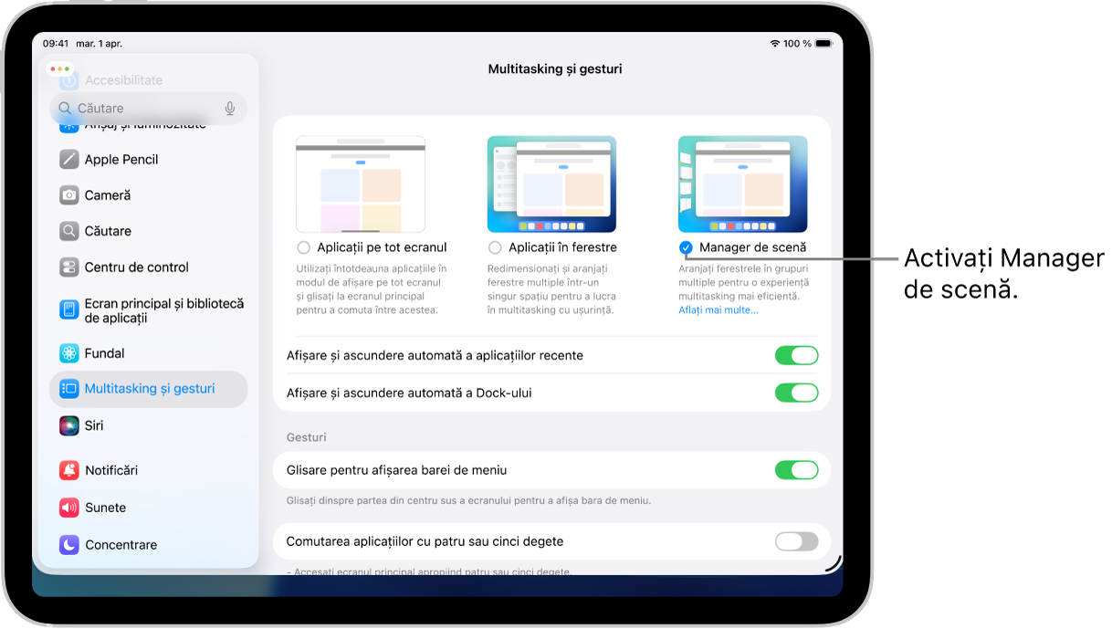 Aplicația Configurări iPad, afișând opțiunile Multitasking și gesturi pe care le puteți alege pentru lucrul cu mai multe aplicații.