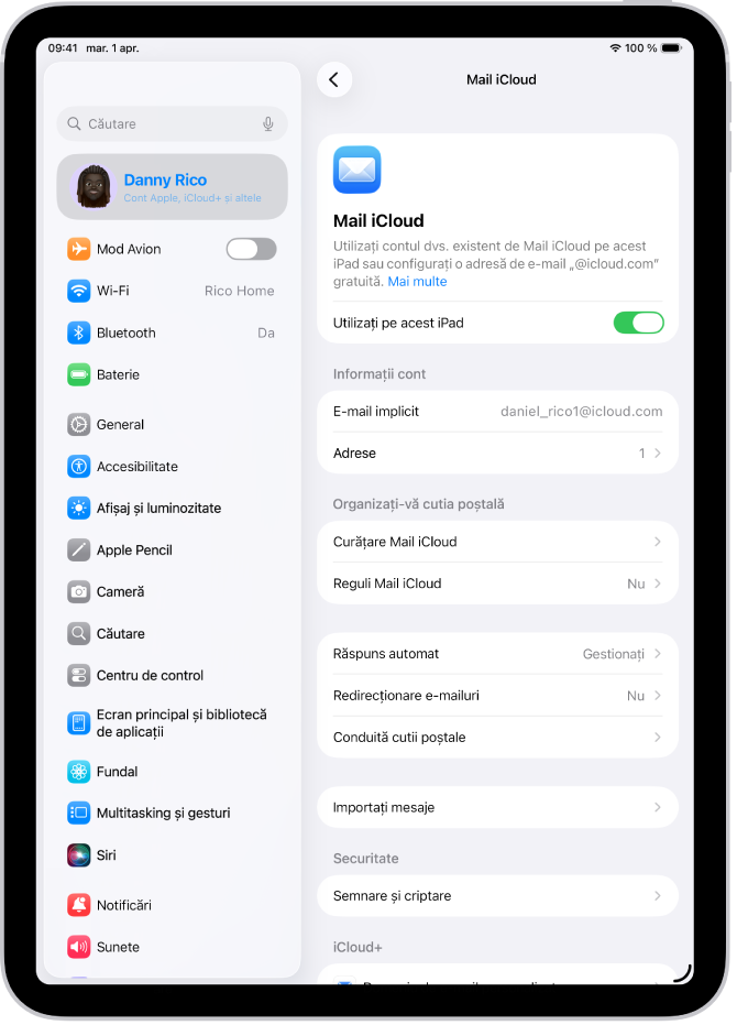 Aplicația Configurări, deschisă la ecranul Mail iCloud. Opțiunea Domeniu de e‑mail personalizat este în partea de jos a meniului.
