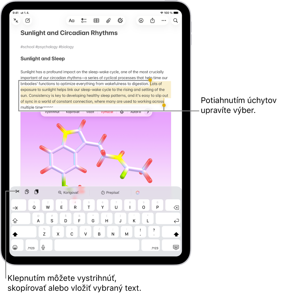 V apke Poznámky je označený text v poznámke. Nad označeným textom sa nachádza menu s tlačidlami ako Vystrihnúť, Kopírovať a Vložiť. Označený text je zvýraznený a na oboch jeho koncoch sú úchyty na úpravu označenia.