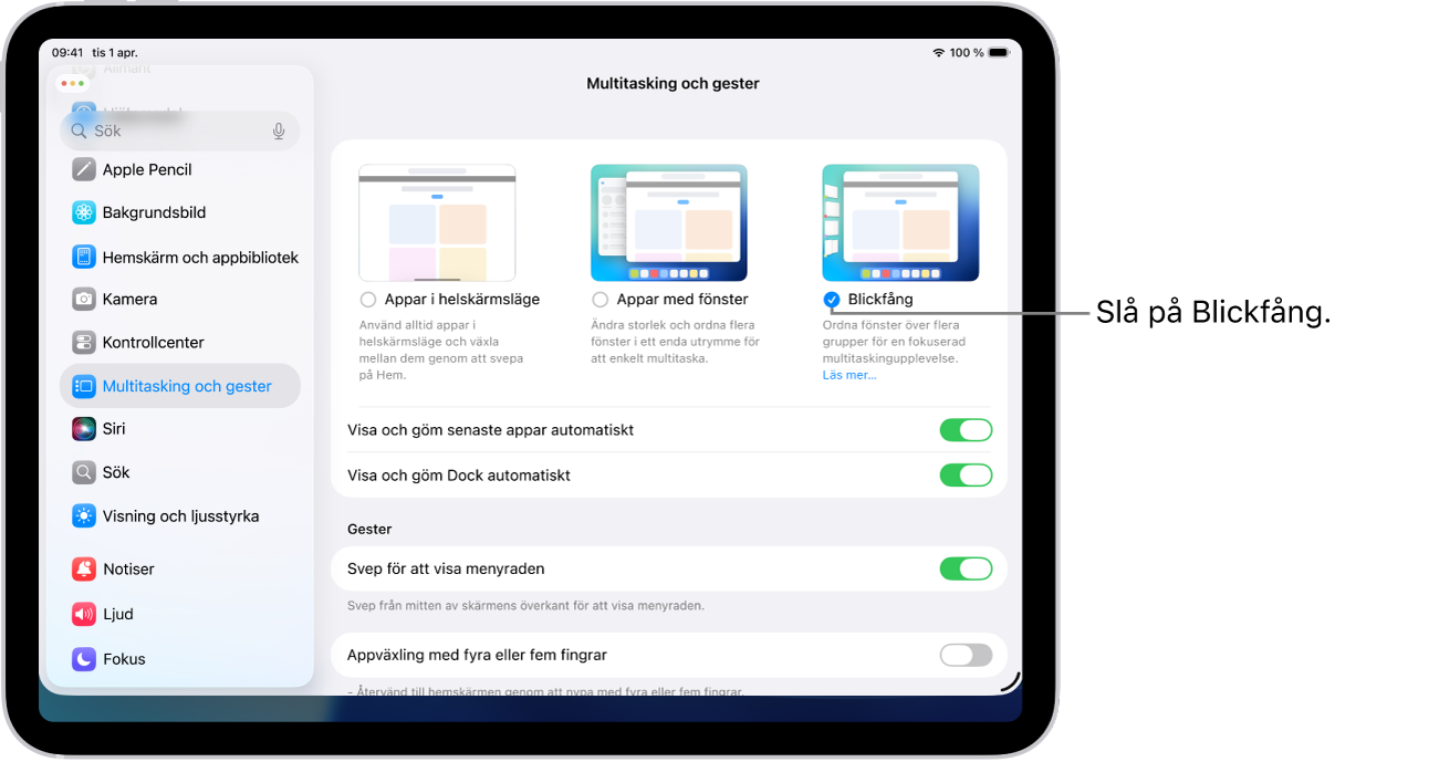 iPad-appen Inställningar visar alternativen för Multitasking och gester som du kan välja för arbete i flera appar.