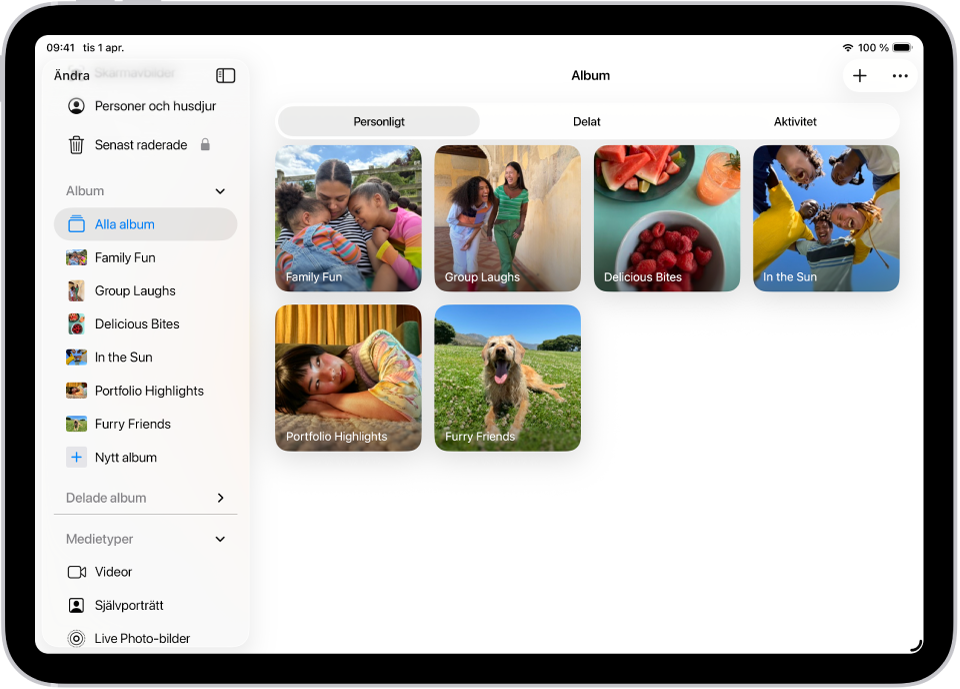 Appen Bilder är öppen i Album. Personligt är valt. Resten av iPad-skärmen visar miniatyrer för album i ett rutnät.