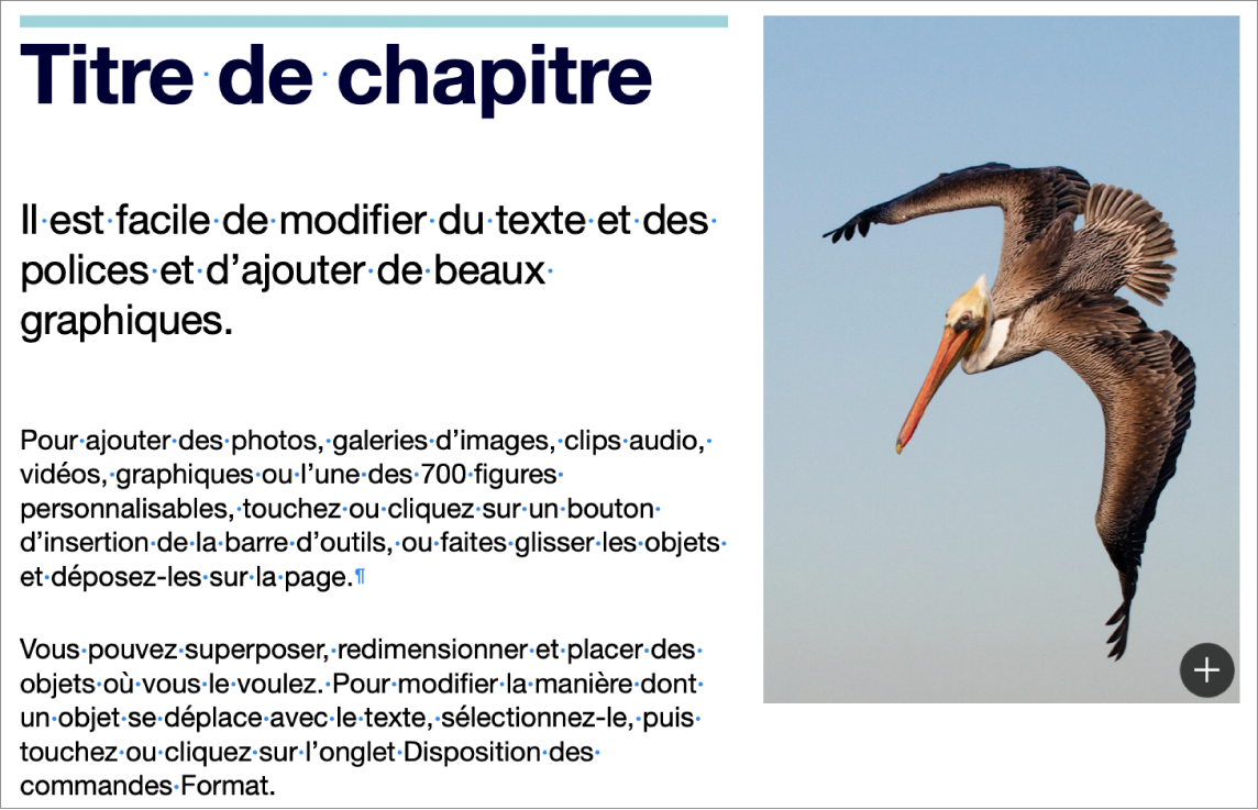 Texte affichant les symboles de saut de paragraphe et de saut de section.