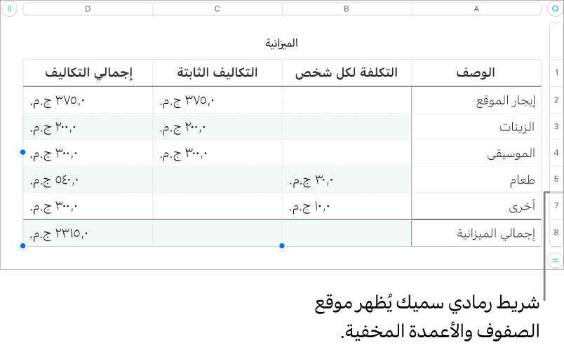 شريط رمادي سميك يُظهر موقع الصفوف والأعمدة المخفية