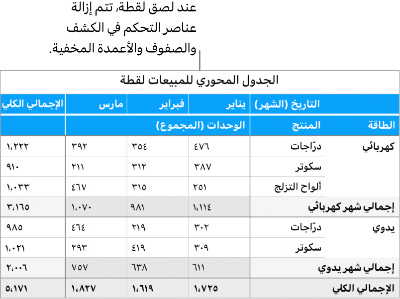 لقطة لجدول محوري.