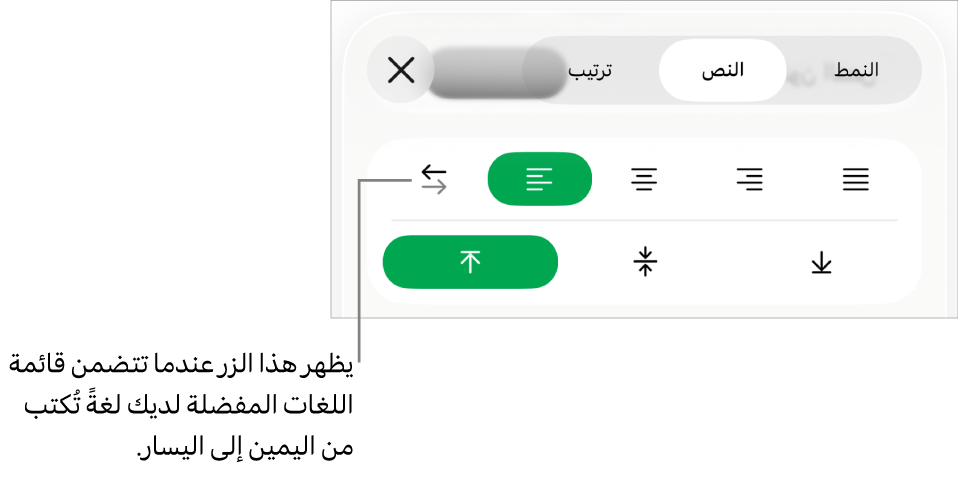 قسم النمط في قائمة التنسيق مع وسيلة شرح لزر "من اليمين إلى اليسار".