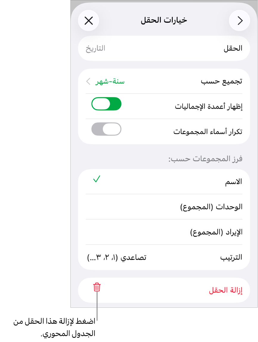 قائمة خيارات الحقل تعرض عناصر التحكم لتجميع البيانات وفرزها، وكذلك خيار إزالة حقل.