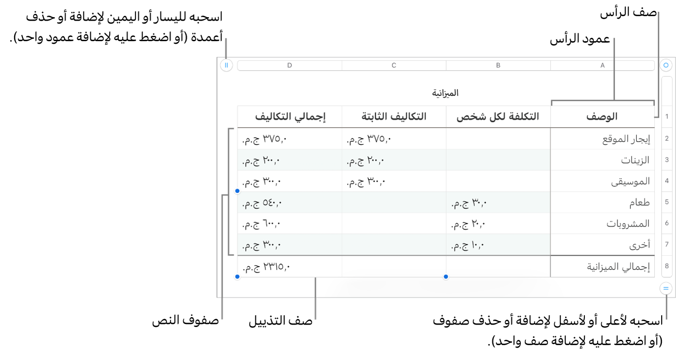 جدول يعرض أعمدة وصفوف الرأس، والمحتوى، والتذييل، والمقابض لإضافة الصفوف والأعمدة أو حذفها.