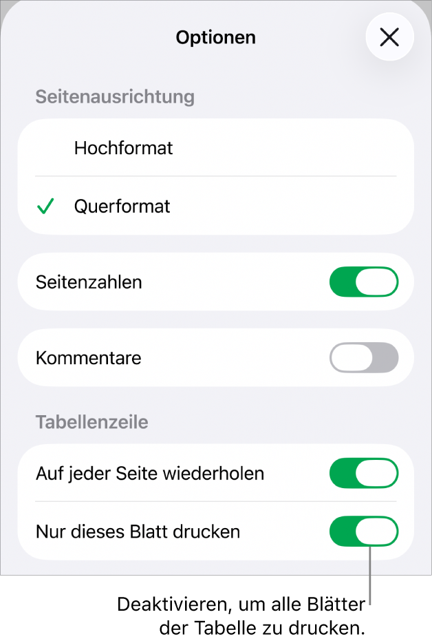 Druckoptionen zum Auswählen von Papierformat, Anzeigen von Seitenzahlen und Tabellentiteln und Auswählen der Papiergröße und welche Seiten gedruckt werden sollen.