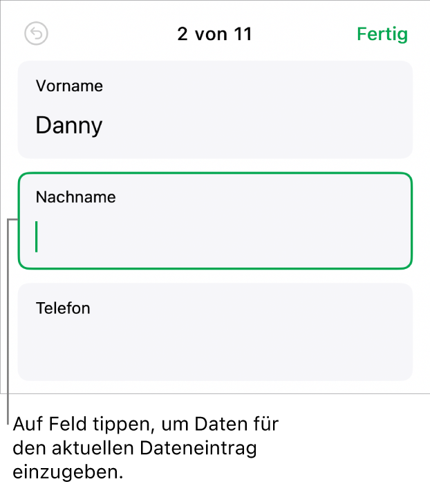 Ein Datensatz in einem Formular mit einem aktiven Feld und einer Einfügemarke.