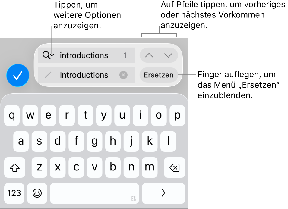 Die Steuerelemente „Suchen & Ersetzen“ über der Tastatur mit Beschreibungen zur Taste für Suchoptionen, zur Taste „Ersetzen“ und zu den Aufwärts- und Abwärts-Tasten.