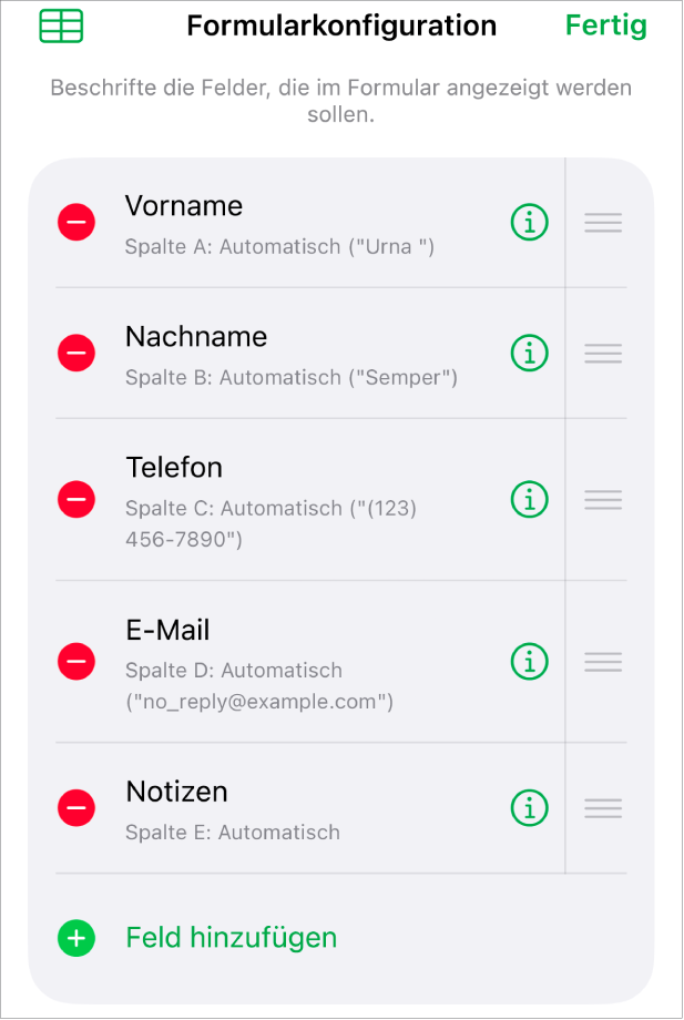 Die Steuerelemente für Formulareinstellungen mit den Optionen zum Hinzufügen, Bearbeiten, Anordnen und Löschen von Feldern sowie zum Ändern des Feldformats (wie zum Beispiel von „Text“ zu „Prozent“).