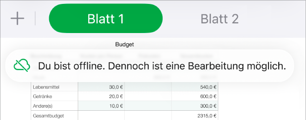 Die Tasten oben auf dem Bildschirm, darunter die Taste „Zusammenarbeit“, die als mit einer diagonalen Linie durchgestrichenen Wolke dargestellt wird. Ein Hinweis auf dem Bildschirm besagt, dass du offline bist, aber weiterhin arbeiten kannst.