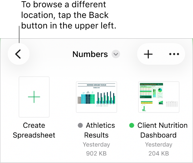 The browse view of the document manager with the Back button in the top-left corner and below it a Search field. Below the Search field is a Create Spreadsheet button next to thumbnails of existing spreadsheets. In the top-right corner are the Add button and the More button.