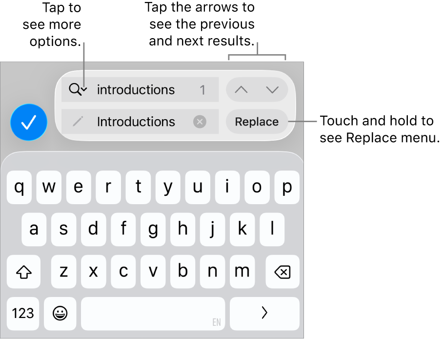 The Find & Replace controls above the keyboard with callouts to the Search Options, Replace, Go Up and Go Down buttons.