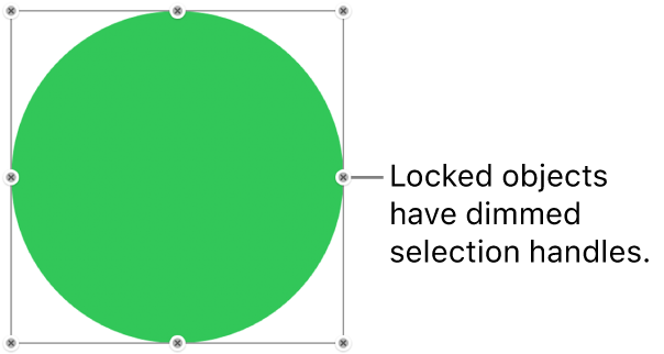 A locked object with dimmed selection handles.