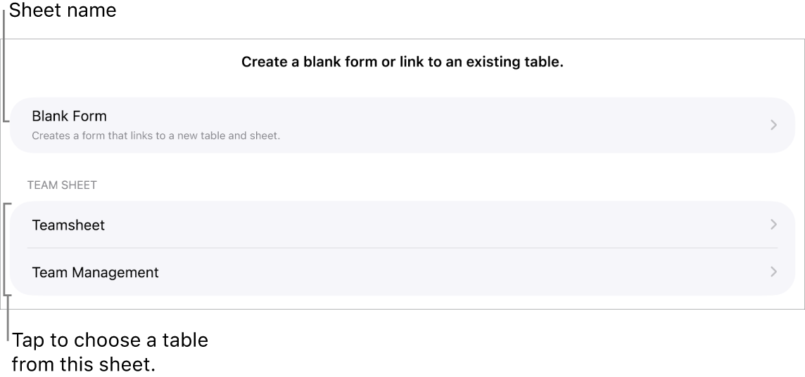 A list of tables that are in the same spreadsheet with the option to create a blank form at the top.