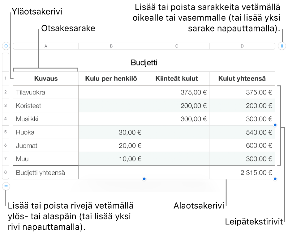 Taulukko, jossa näkyy yläotsake-, leipäteksti- ja alaotsakerivejä ja -sarakkeita sekä kahvoja rivien tai sarakkeiden lisäämiseen tai poistamiseen.