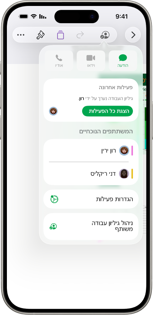 תפריט ״שיתוף פעולה״ מראה את שמות האנשים המשתפים פעולה בעבודה על גיליון העבודה.