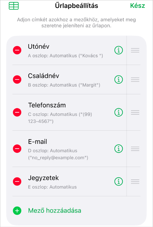Az űrlap-beállításvezérlők, a mezők hozzáadására, szerkesztésére, átrendezésére és törlésére, valamint azok formátumának (pl. Szöveg vagy Százalék) módosítására szolgáló opciókkal.