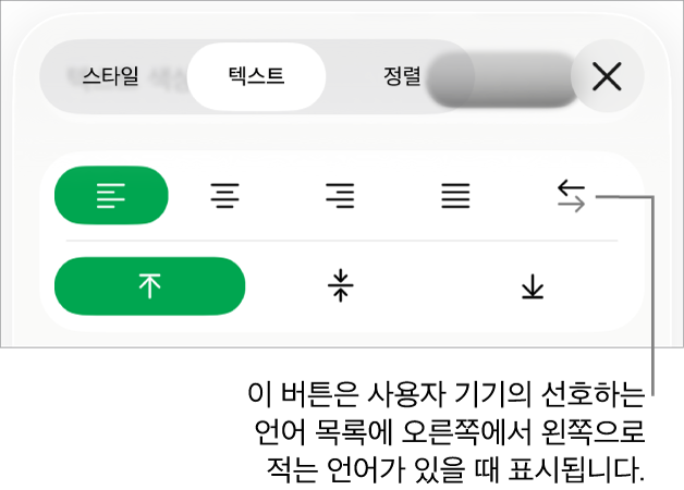 오른쪽에서 왼쪽으로 버튼에 설명이 있는 포맷 메뉴의 스타일 섹션.