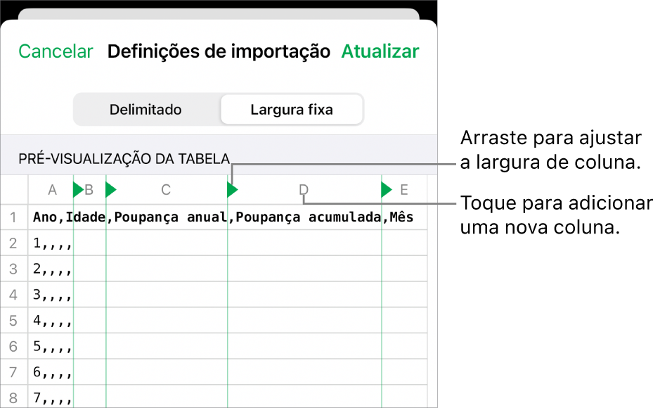 As definições de importação para um ficheiro de texto de largura fixa.