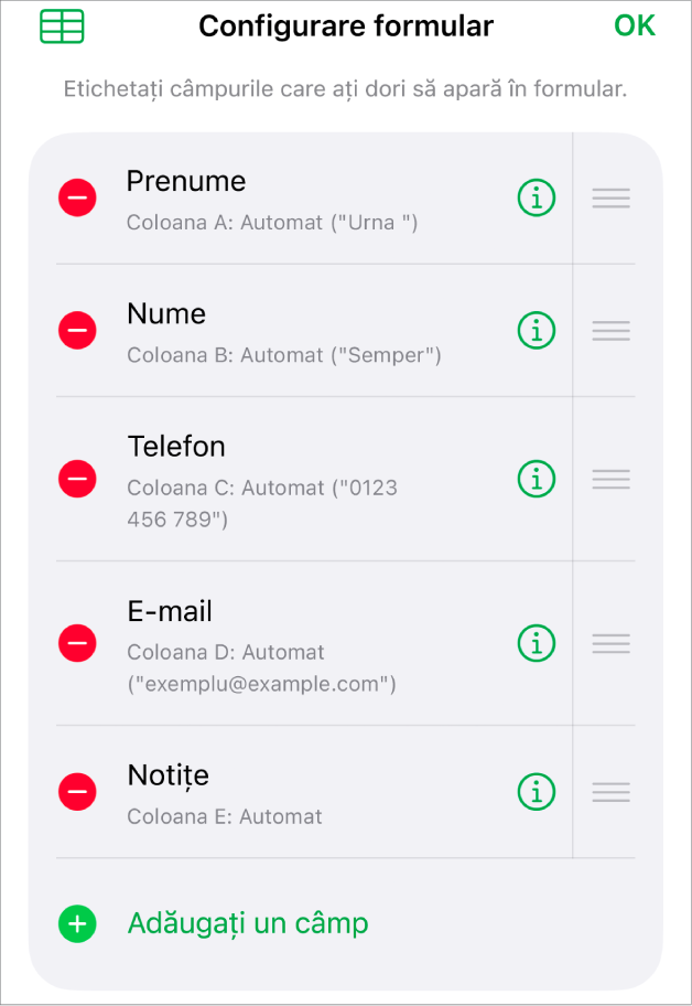 Comenzile de configurare a formularului, afișând opțiunile de adăugare, editare, reordonare și ștergere a câmpurilor, cât și pentru modificarea formatului câmpurilor (de exemplu, din Text în Procentaj).